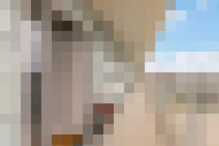 Boogmuur 139 Houten thumbnail 15