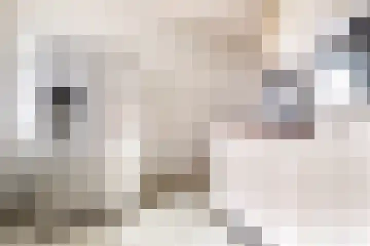 Boogmuur 139 Houten thumbnail 19