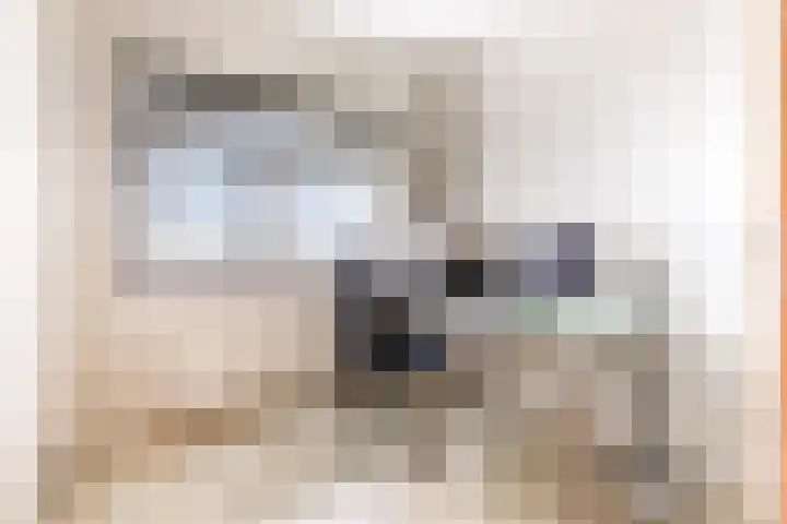 Boogmuur 139 Houten thumbnail 33