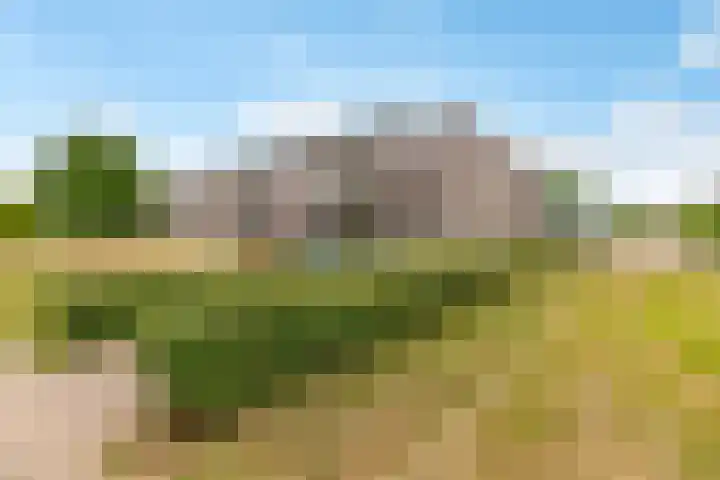 Boogmuur 139 Houten thumbnail 4
