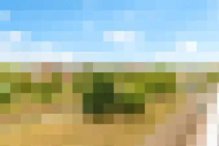 Boogmuur 139 Houten thumbnail 46