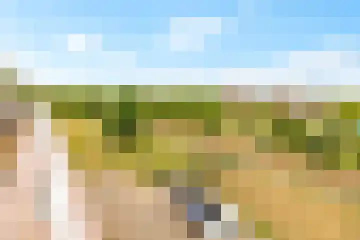 Boogmuur 139 Houten thumbnail 47