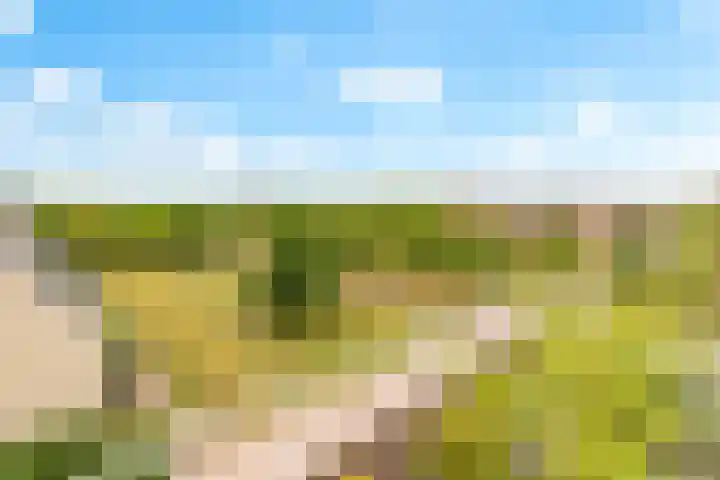 Boogmuur 139 Houten thumbnail 51