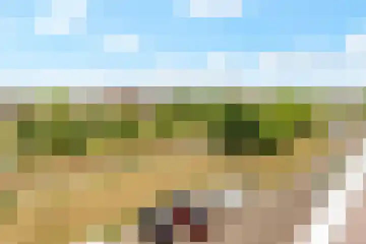 Boogmuur 139 Houten thumbnail 55