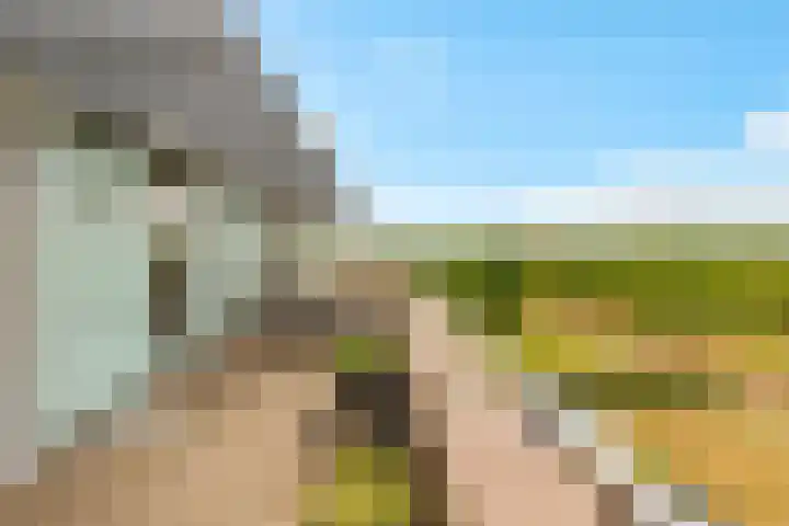 Boogmuur 139 Houten thumbnail 56