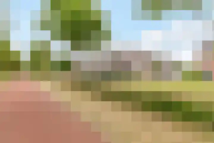 Boogmuur 139 Houten thumbnail 59