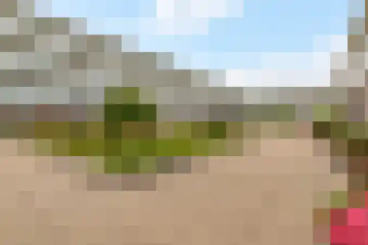 Boogmuur 139 Houten thumbnail 60