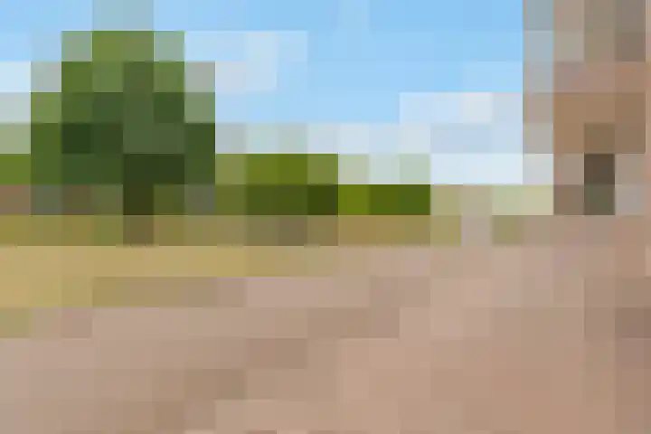 Boogmuur 139 Houten thumbnail 61