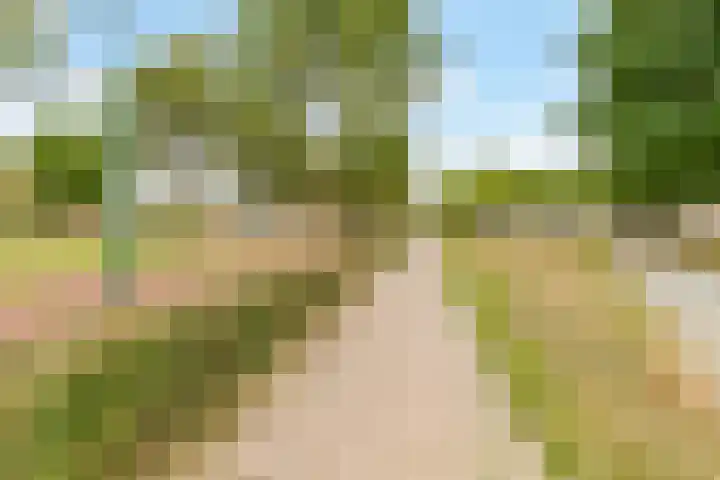 Boogmuur 139 Houten thumbnail 63