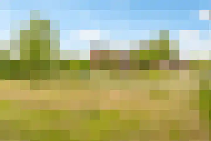 Boogmuur 139 Houten thumbnail 64