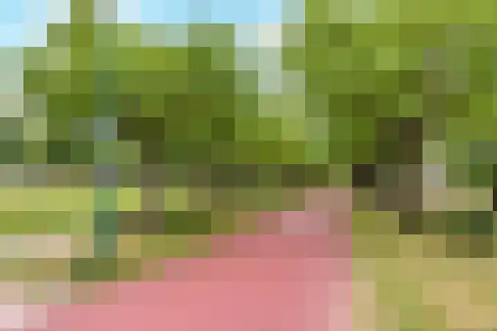 Boogmuur 139 Houten thumbnail 65