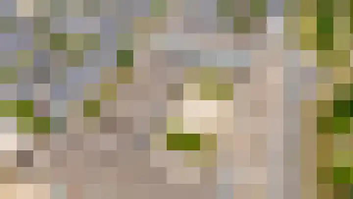 Boogmuur 139 Houten thumbnail 66
