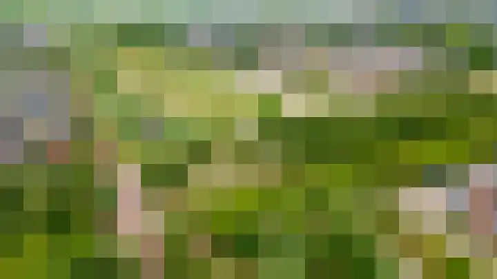 Boogmuur 139 Houten thumbnail 69