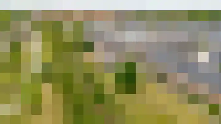 Boogmuur 139 Houten thumbnail 70