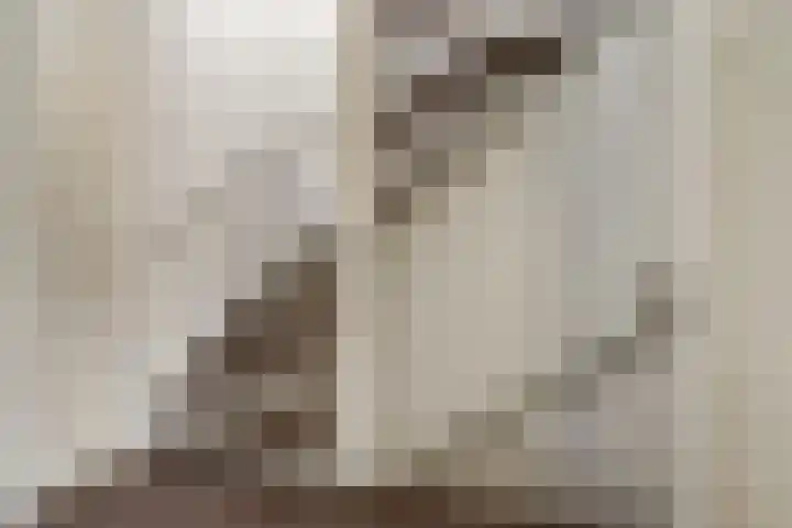 Boogmuur 20 Houten thumbnail 15