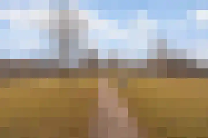 Boogmuur 20 Houten thumbnail 28