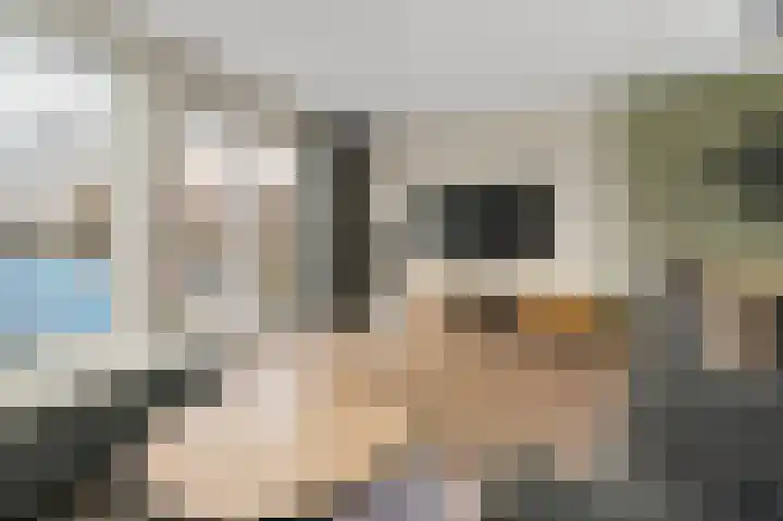 Boogmuur 20 Houten thumbnail 4