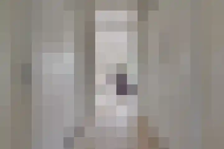 Boogmuur 87 Houten thumbnail 19