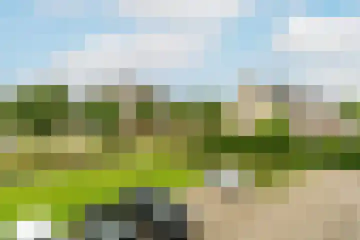 Boogmuur 87 Houten thumbnail 29