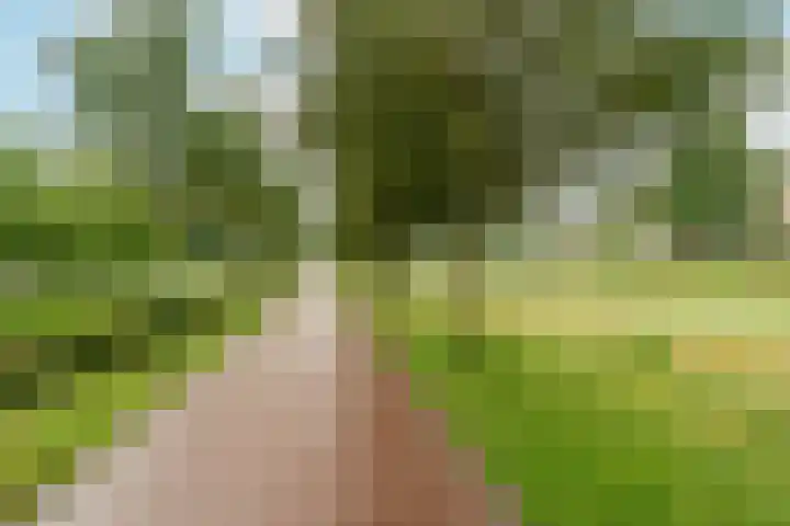 Boogmuur 87 Houten thumbnail 32