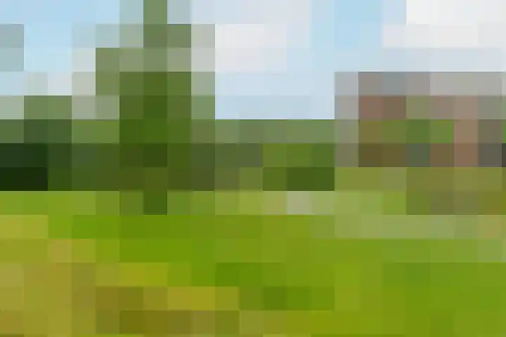 Boogmuur 87 Houten thumbnail 33