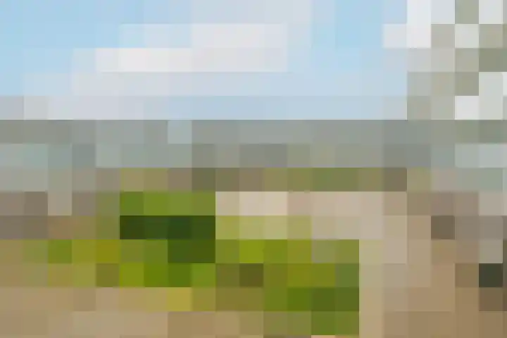 Boogmuur 87 Houten thumbnail 5