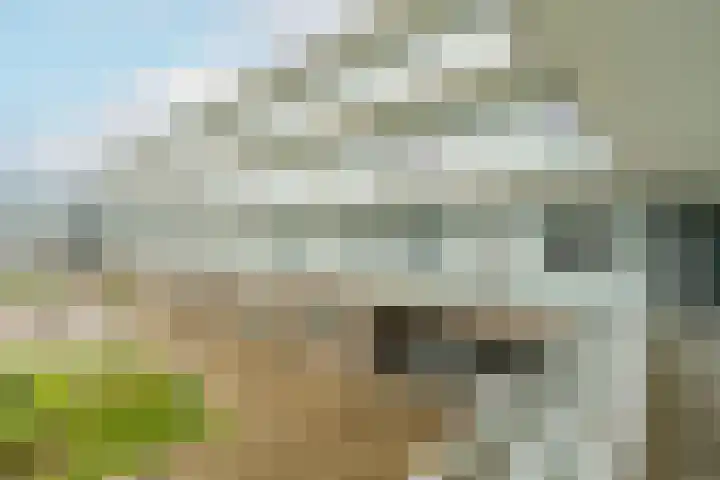 Boogmuur 87 Houten thumbnail 6
