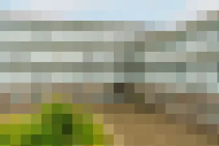 Boogmuur 87 Houten thumbnail 7
