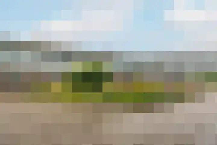 Boogmuur 87 Houten thumbnail 8