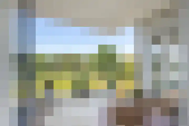 Boogmuur 99 Houten thumbnail 14