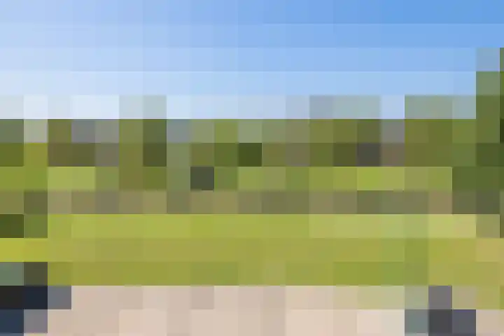 Boogmuur 99 Houten thumbnail 15