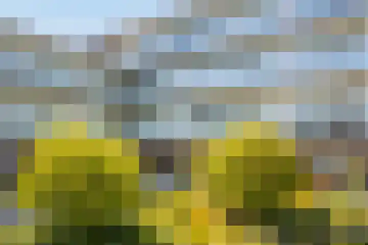 Boogmuur 99 Houten thumbnail 34