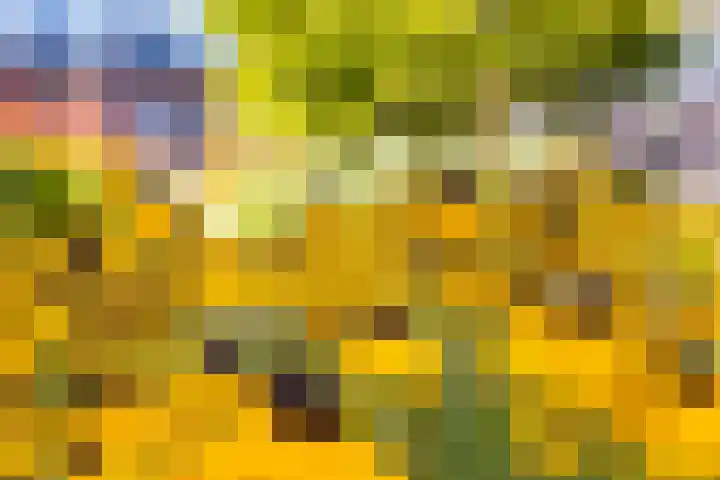 Boogmuur 99 Houten thumbnail 36