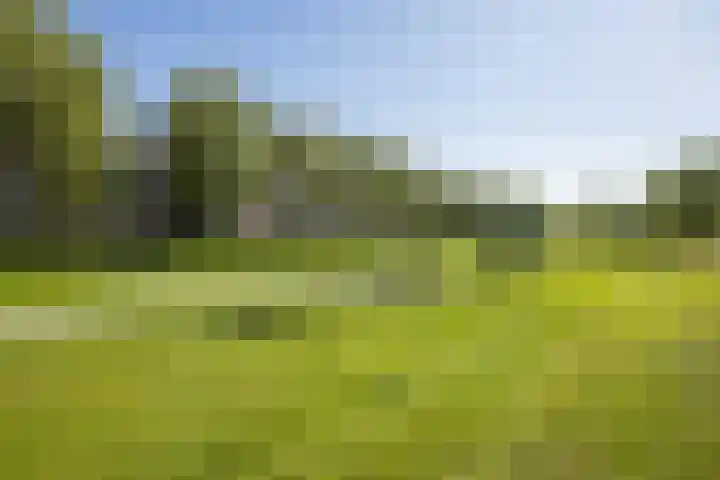 Boogmuur 99 Houten thumbnail 41