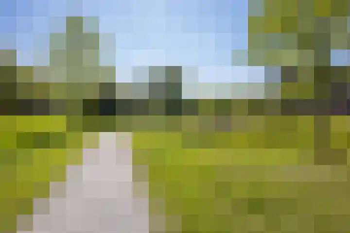 Boogmuur 99 Houten thumbnail 42