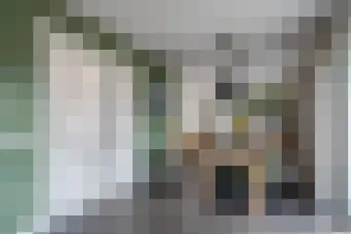 Boogoort 3 Broek op Langedijk thumbnail 13