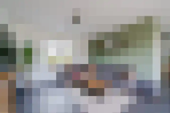 Boogoort 3 Broek op Langedijk thumbnail 14