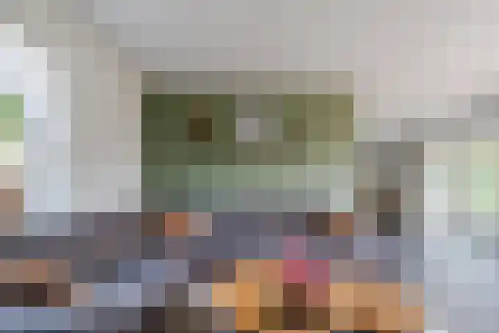 Boogoort 3 Broek op Langedijk thumbnail 15