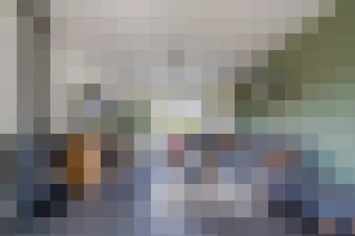 Boogoort 3 Broek op Langedijk thumbnail 19