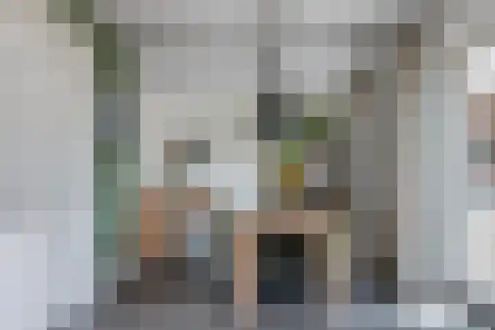 Boogoort 3 Broek op Langedijk thumbnail 20
