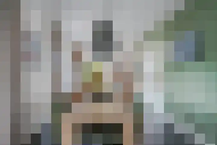 Boogoort 3 Broek op Langedijk thumbnail 29