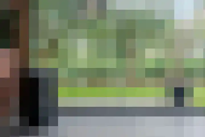 Boogoort 3 Broek op Langedijk thumbnail 31