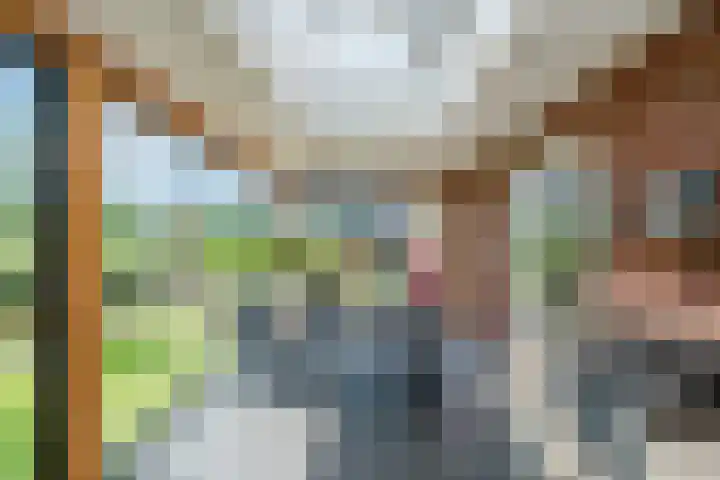 Boogoort 3 Broek op Langedijk thumbnail 32