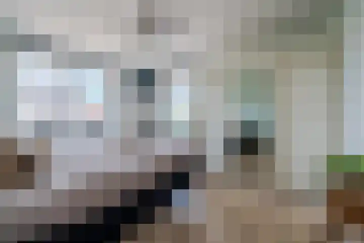Boogoort 3 Broek op Langedijk thumbnail 36