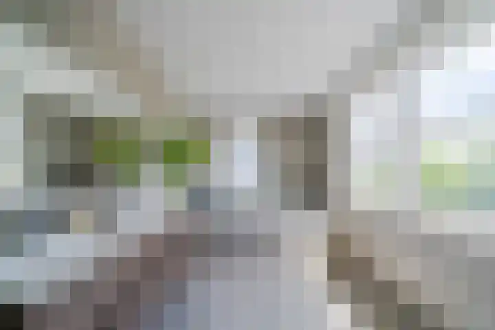 Boogoort 3 Broek op Langedijk thumbnail 39