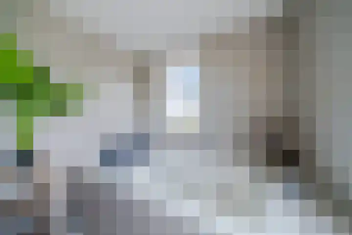 Boogoort 3 Broek op Langedijk thumbnail 40