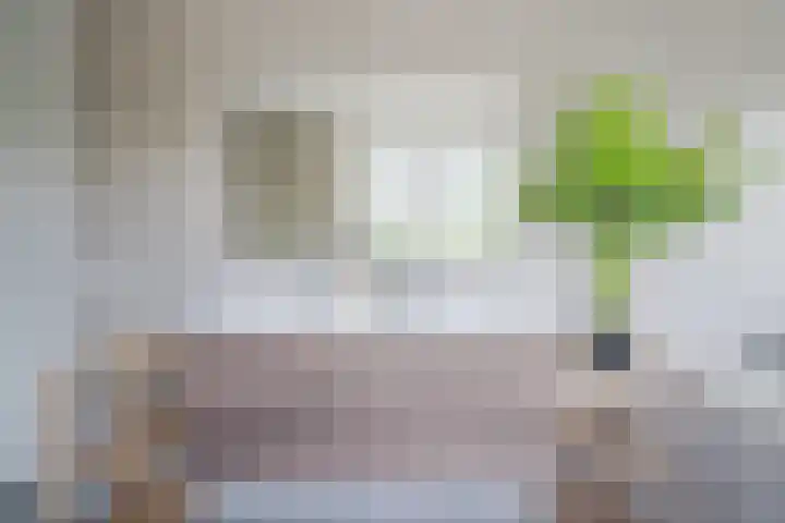 Boogoort 3 Broek op Langedijk thumbnail 41