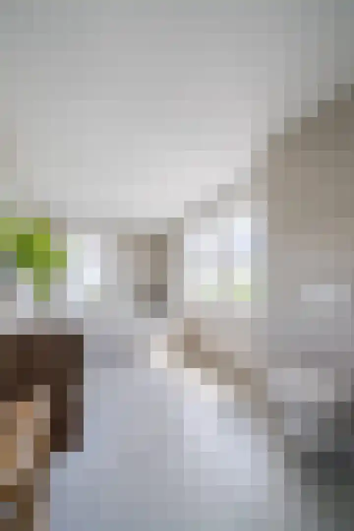 Boogoort 3 Broek op Langedijk thumbnail 44