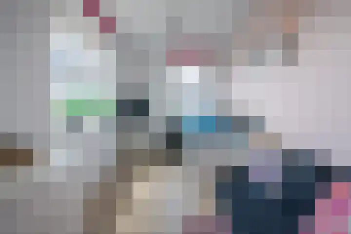 Boogoort 3 Broek op Langedijk thumbnail 46