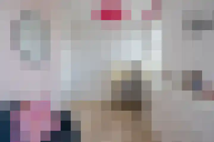 Boogoort 3 Broek op Langedijk thumbnail 47